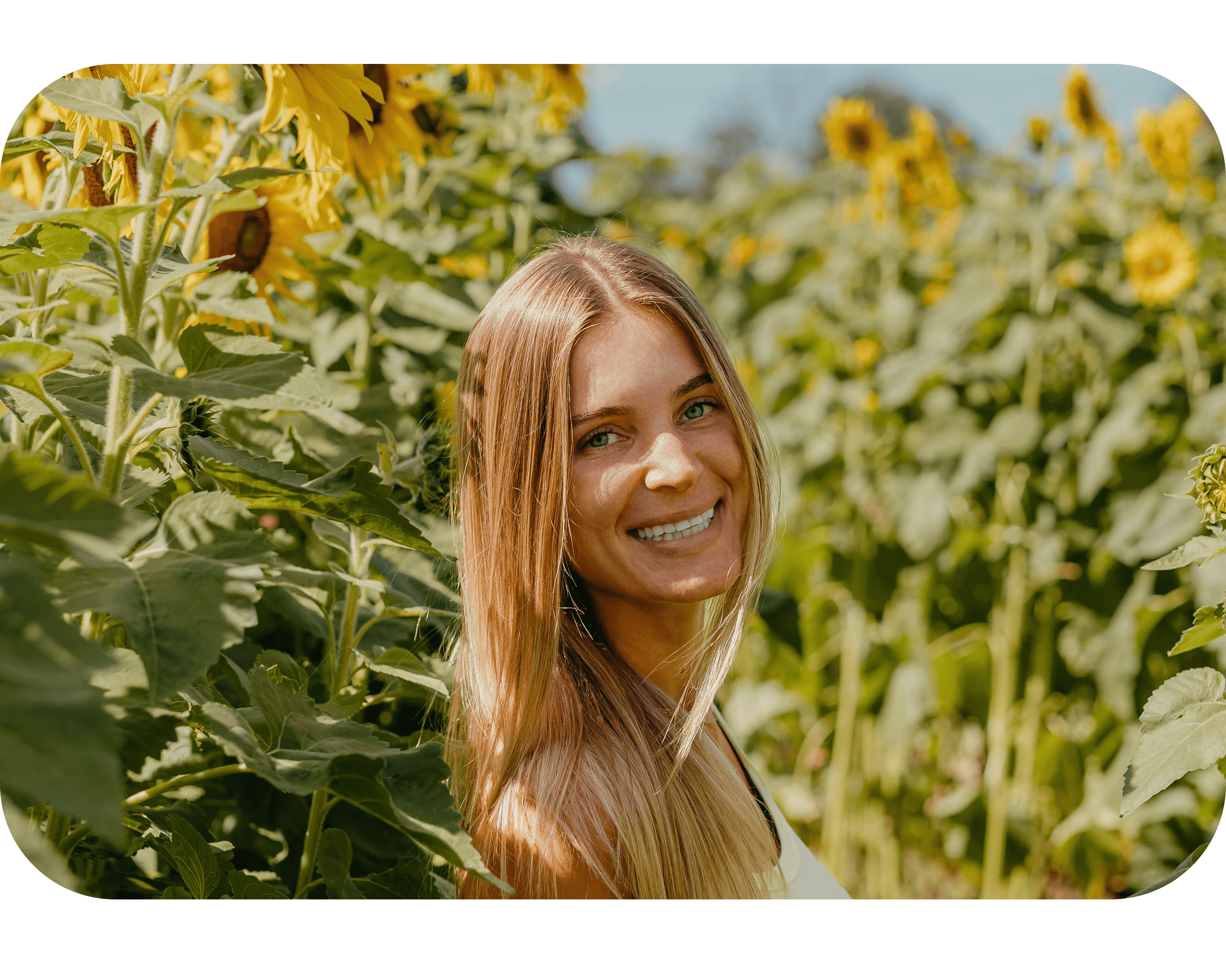 THCP disPOD Super Lemon Haze 1ml