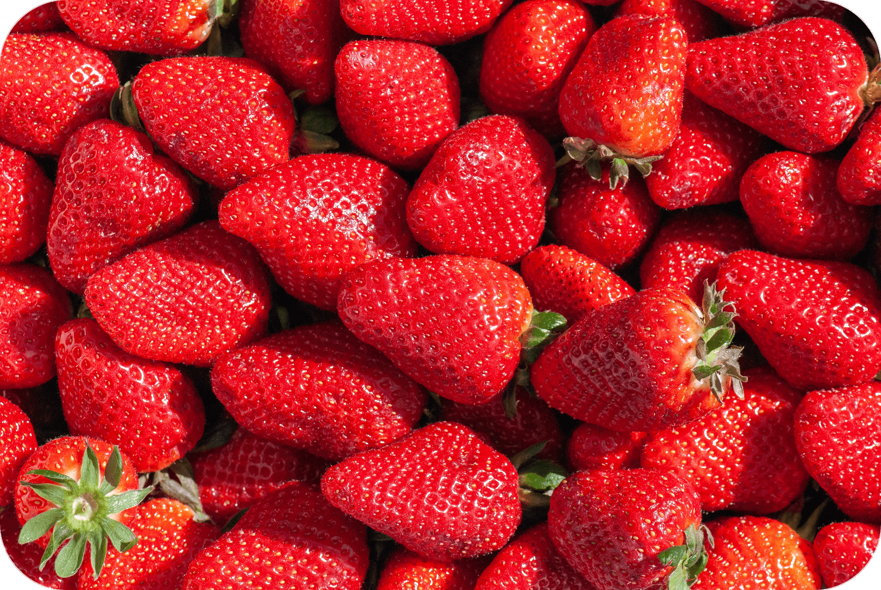 THCP disPOD Strawberry 0,5ml