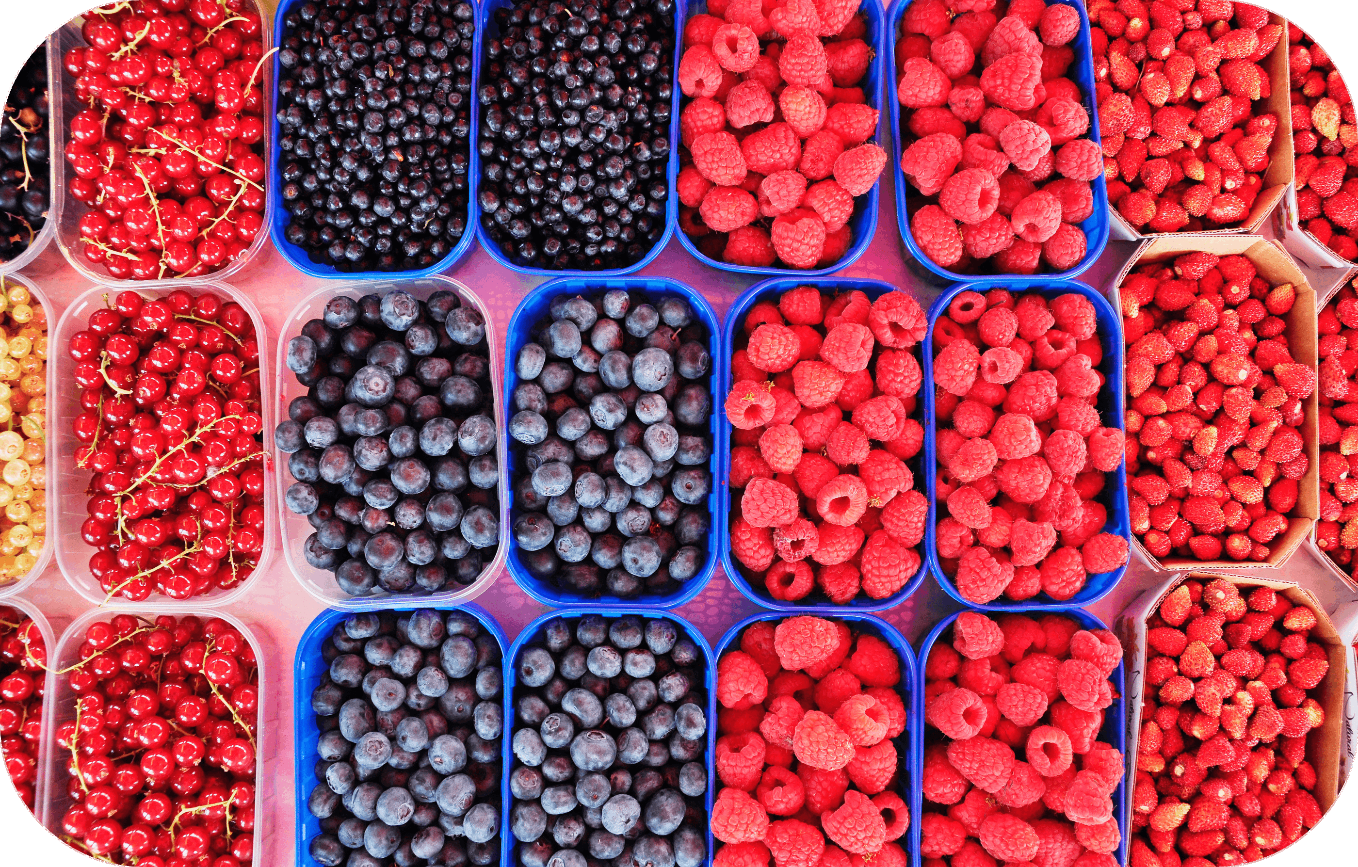 THCP disPOD Alien OG 1ml