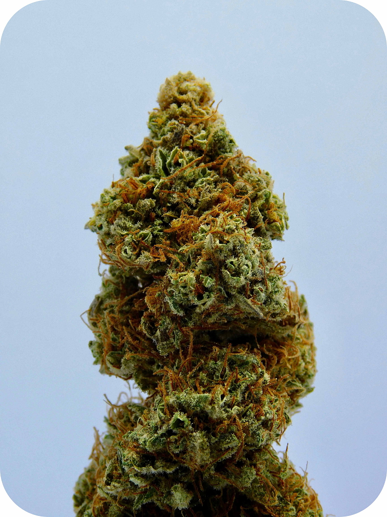 Strawberry 12% Iceline