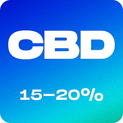 CBD PRE-ROLLS indoor joint