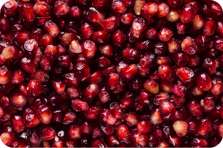 disPOD Alien OG 500 mg HHC