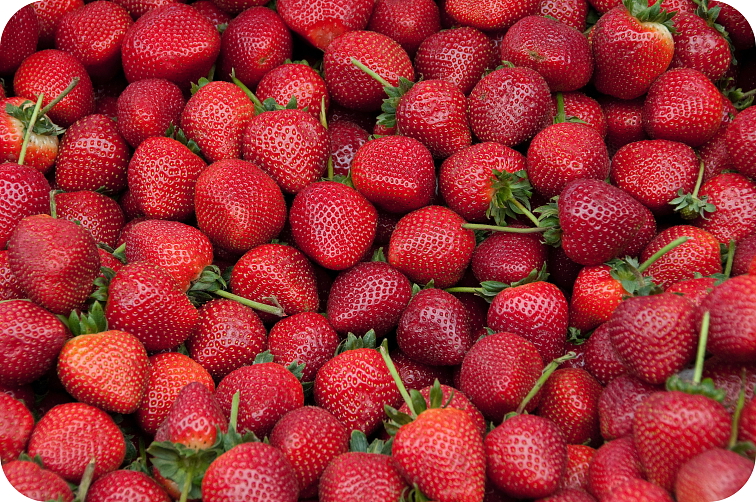 Vaporizer Veneno 94% HHC 1 ml