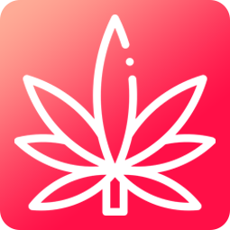 CBD Jelly 25mg - jahoda 8ks