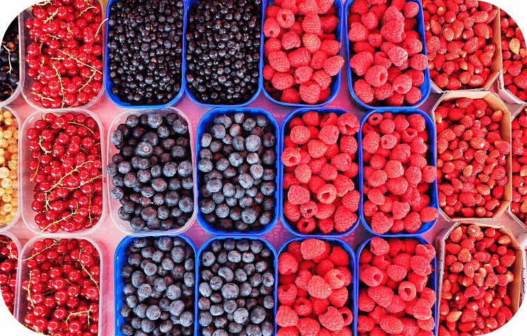 THCP disPOD Alien OG 1ml