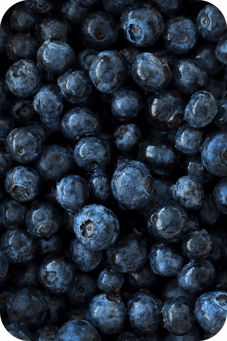 THCP disPOD Blueberry 1ml