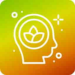 HHCPO cartridge CATline Vanilla Epic 0,5ml