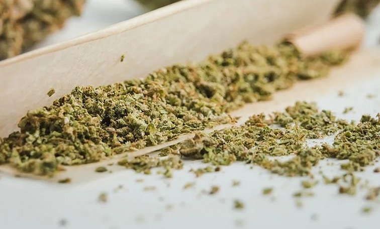 10-OH HHC Cannabis Blend Orange Cookies