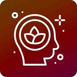 HHCPO vaporizer CATline Western Tobacoo 1 ml