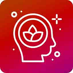 HHCP-O CATline disPOD Apple Cider Mint 0,5ml