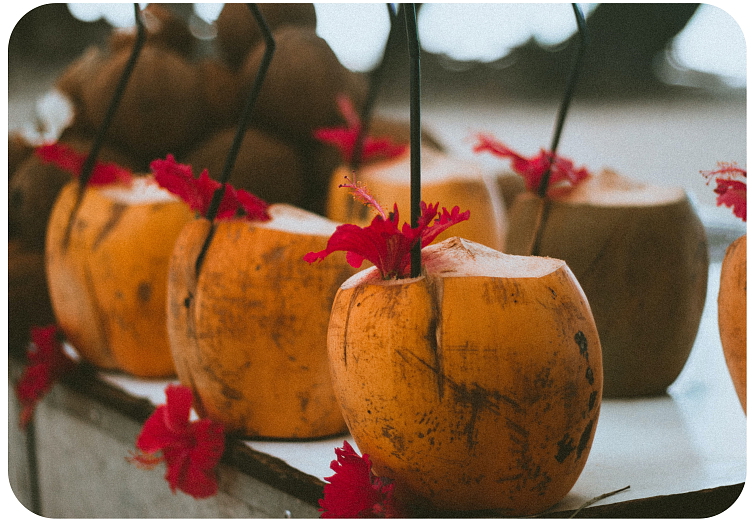 disPOD Pinacolada 500 mg HHC