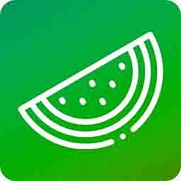 HHCPO vaporizer CATline Watermelon 1 ml