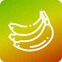 HHCP-O CATline disPOD Banana 1ml