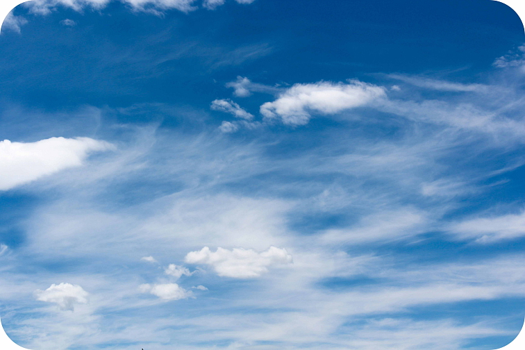 HHC-P disPOD Blueberry 1ml