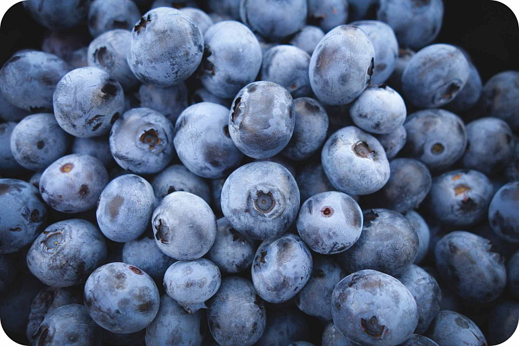 HHC-P disPOD Blueberry 1ml