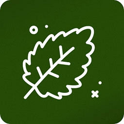 CBD žvýkačky 1200 mg 60 ks