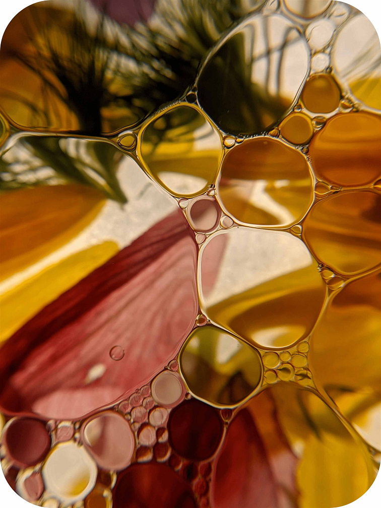 THCP disPOD Zkittlez 1ml