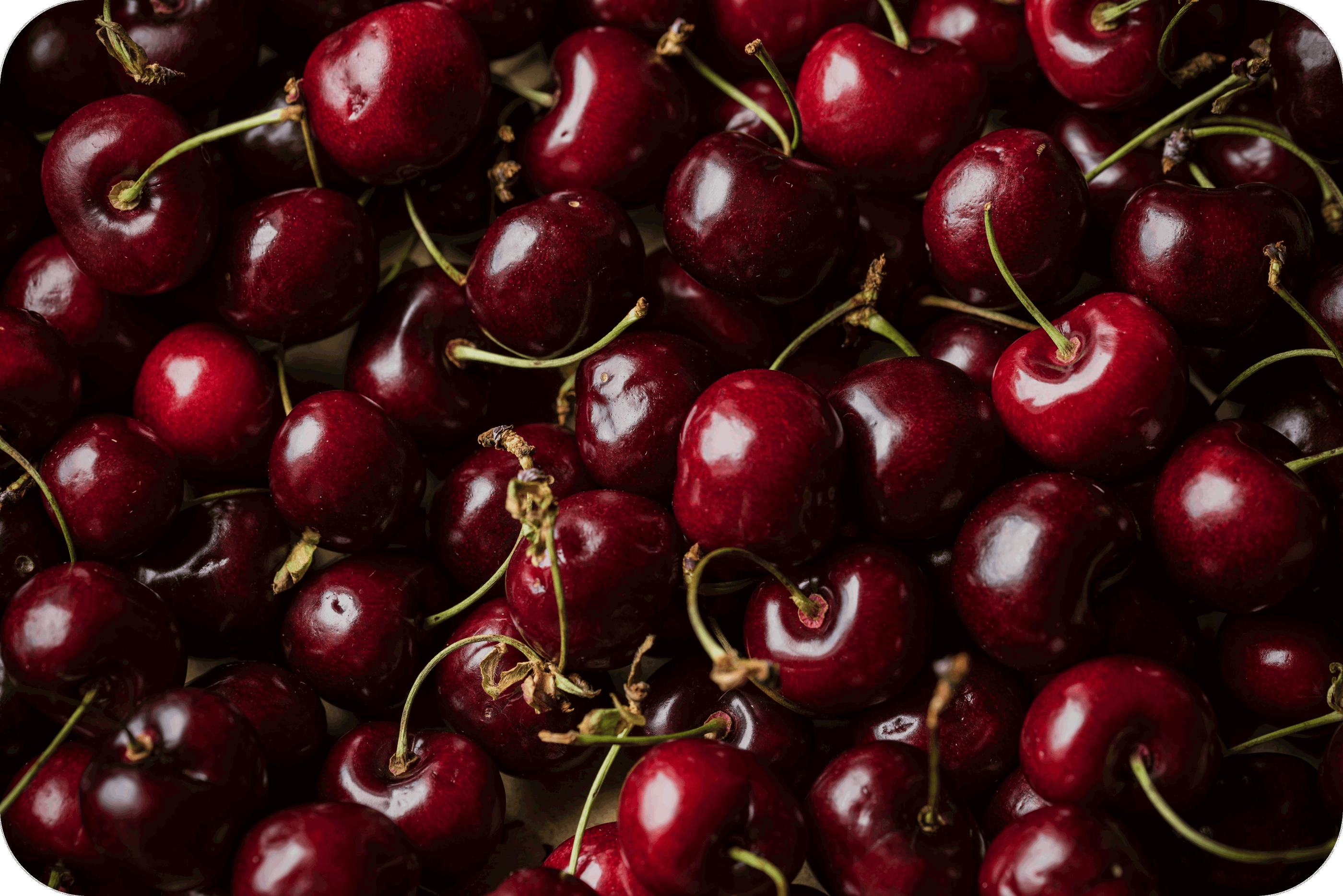 THCP disPOD Cherry 2ml