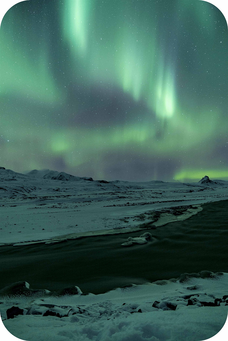 THCP disPOD Northern Light 1ml