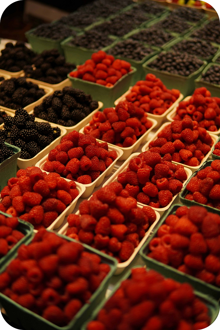 CBD Jelly 25mg - malina 8ks