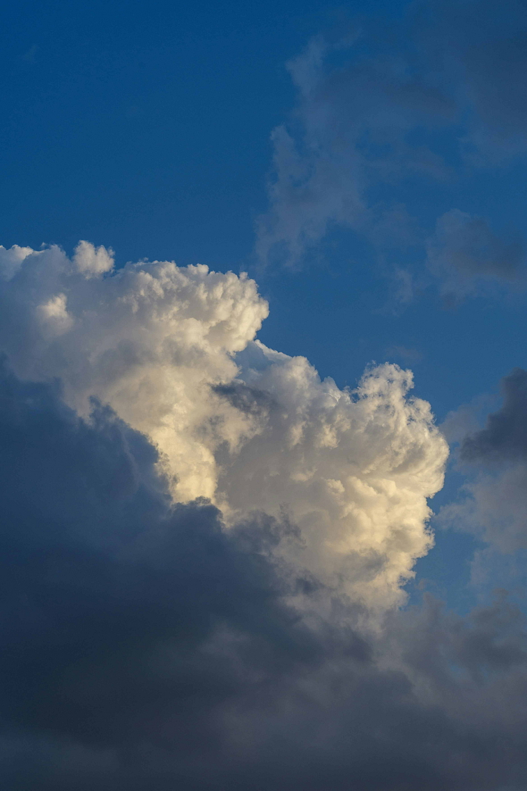 THCv Jelly 25mg Modré Mango 8ks