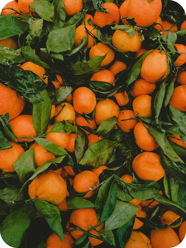 Jednorázové Softy CBD Amnesia 0,5ml