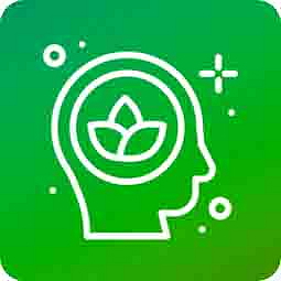 HHCPO vaporizer CATline Watermelon 1 ml