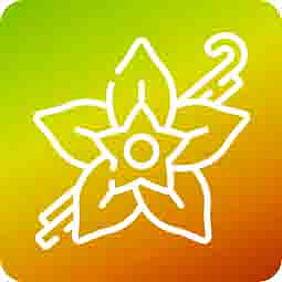 HHCPO vaporizer CATline Vanilla Epic 0,5 ml