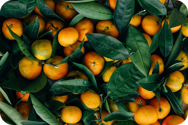 disPOD White Widow 500 mg HHC