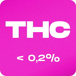 HHC PRE-ROLLS Pinkline joint