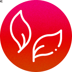 HHC-P Stronger Beast White Widow 2ml