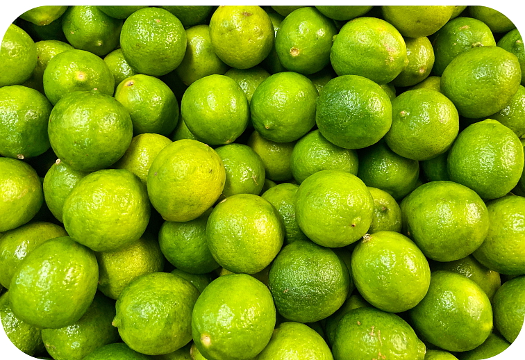 HHC BEAST Do-Si-Dos 1ml