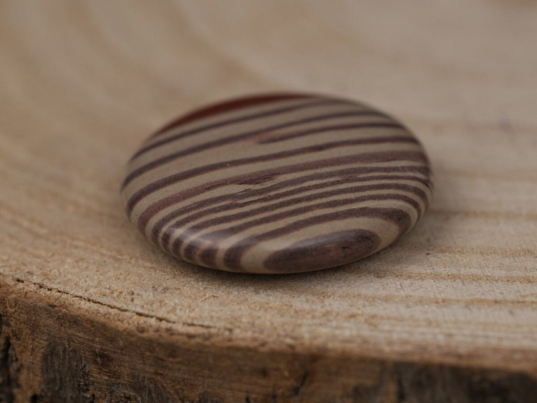 Jaspis zebra - placka tromlovaný kámen; 40-45mm