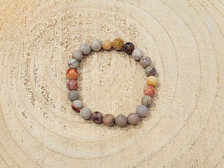 Zkamenělý korál - náramek; 8mm