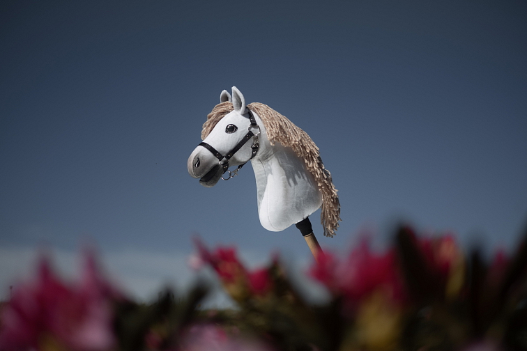 Hobby Horse Little Lady mit Schwarzem Halfter