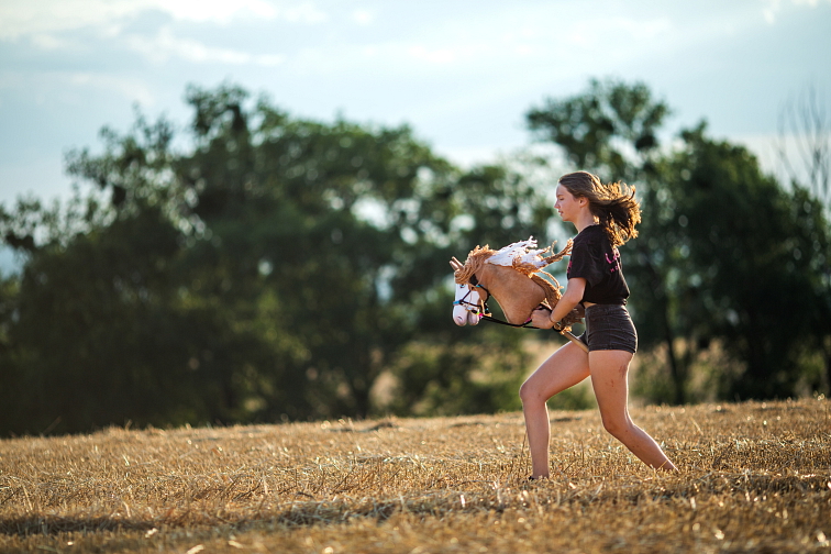 Hobby Horse Mahal mit Schwarzem Halfter