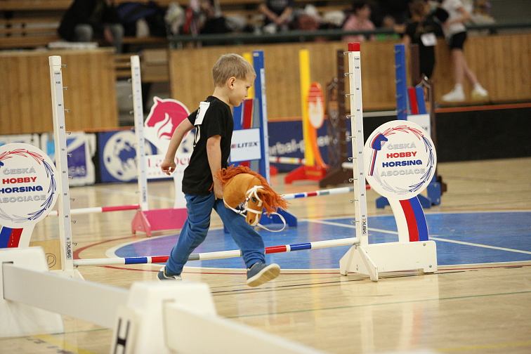 Hobby Horse Mahal mit Schwarzem Halfter