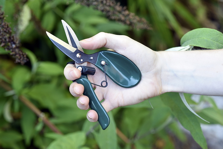 Ergonomické nůžky na rostliny a keře Burgon and Ball RHS 14 cm
