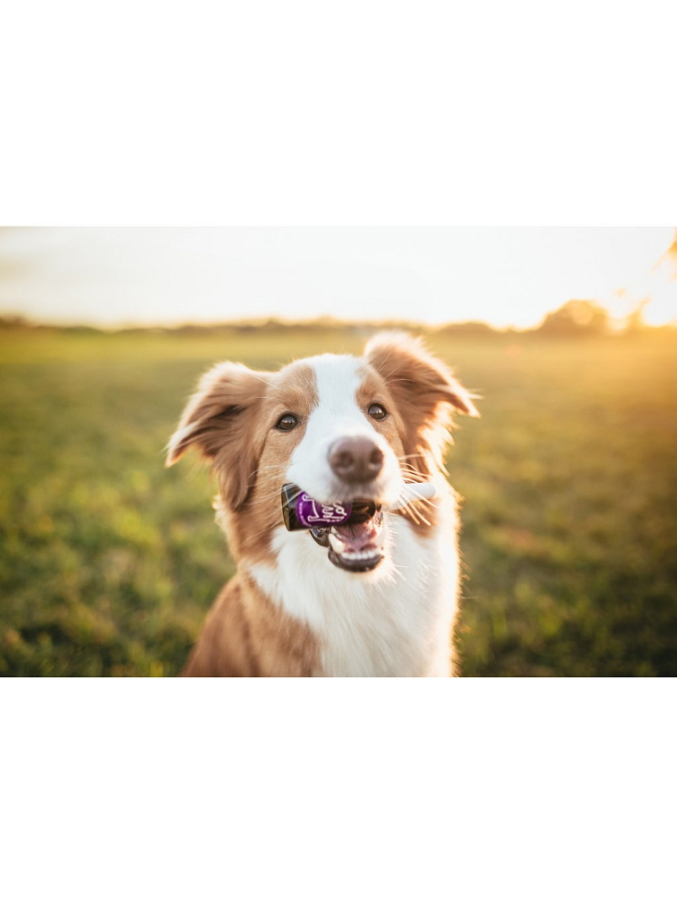 Ecopets Olej Zuby 30 ml