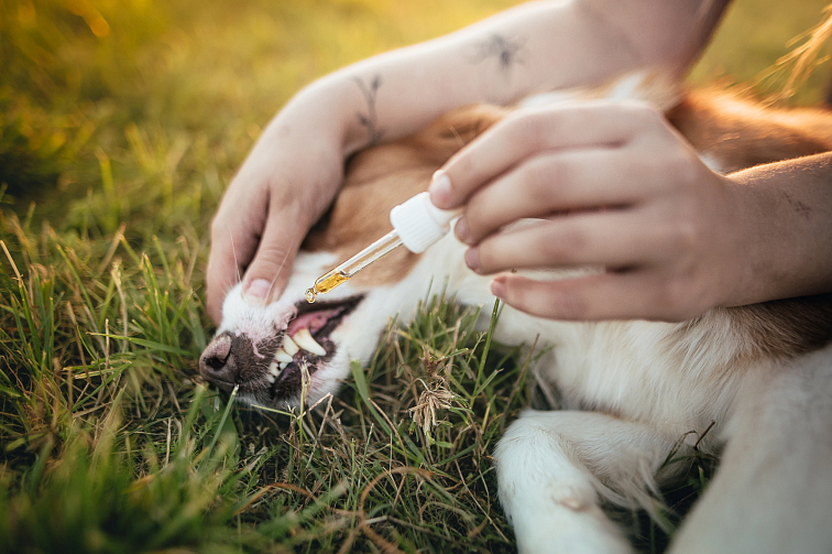 Ecopets Olej Zuby 30 ml