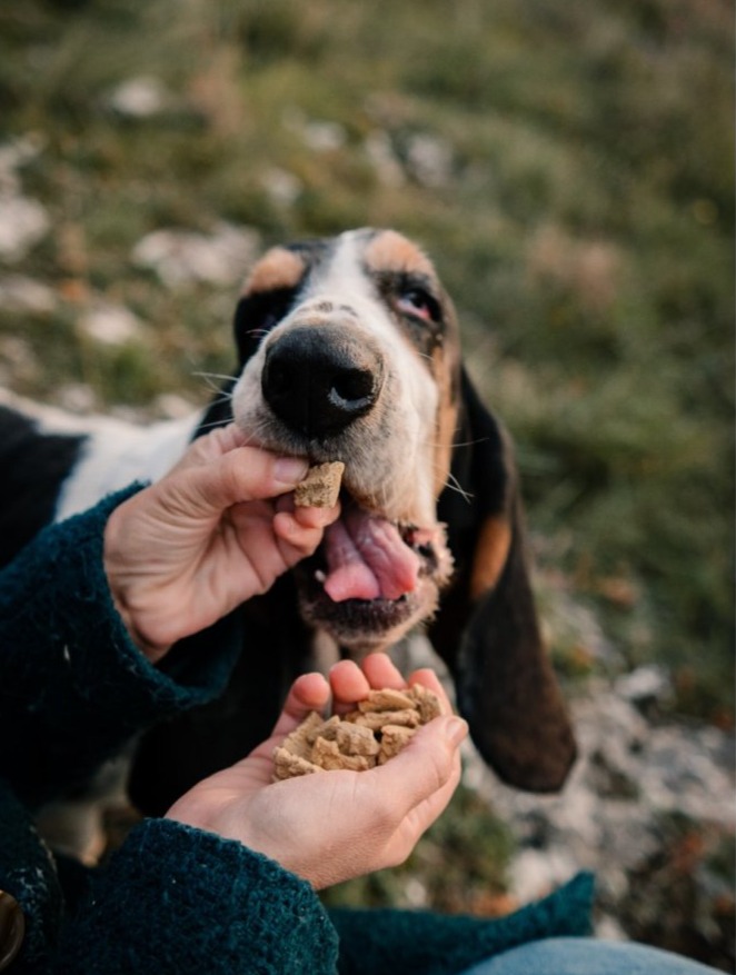 Pamlsky pro Ledvinovou dietu - Kachní Renal s bylinkami