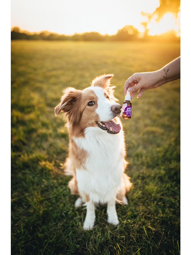 Ecopets Olej Zuby 30 ml