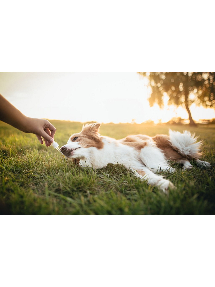 Ecopets Olej Zuby 30 ml