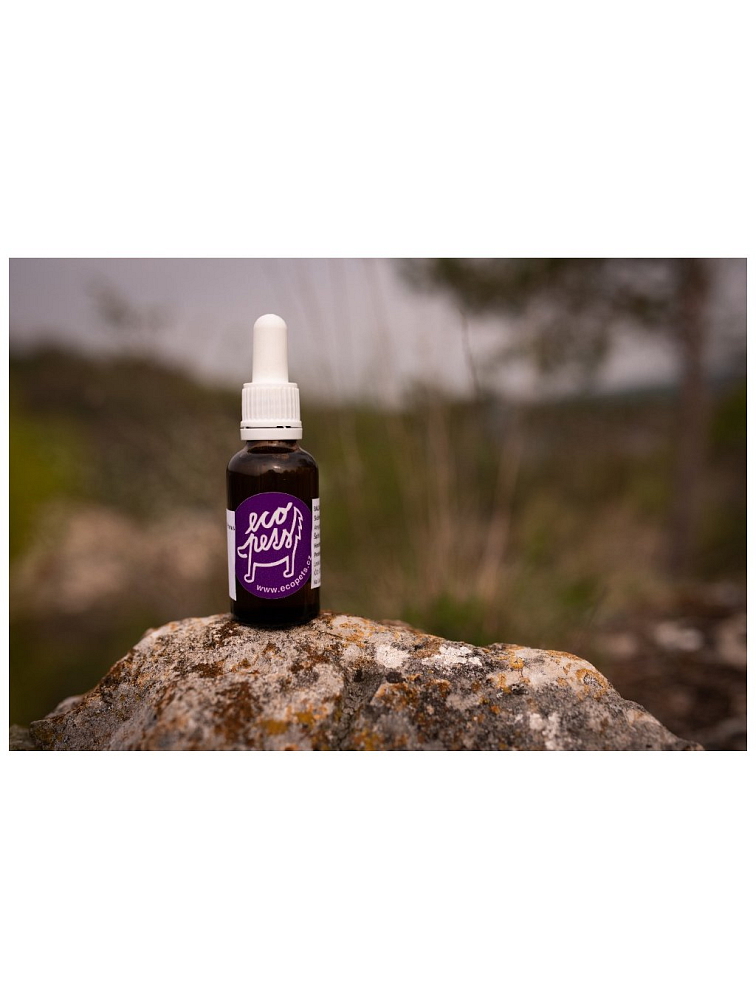 Olej Ucho 30 ml