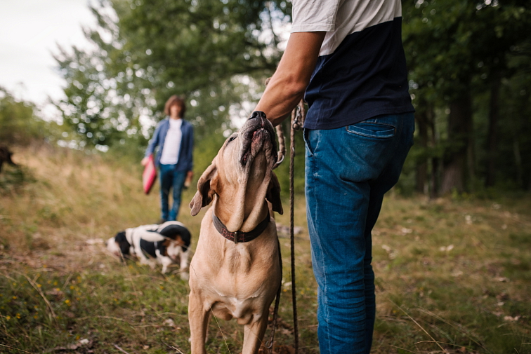 Ecopets Olej Zuby 30 ml