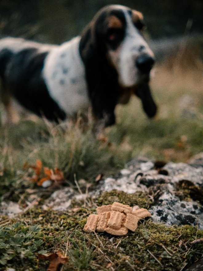 Pamlsky pro Ledvinovou dietu - Kachní Renal s bylinkami