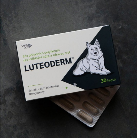 LUTEODERM kúra (3x30 kapslí)