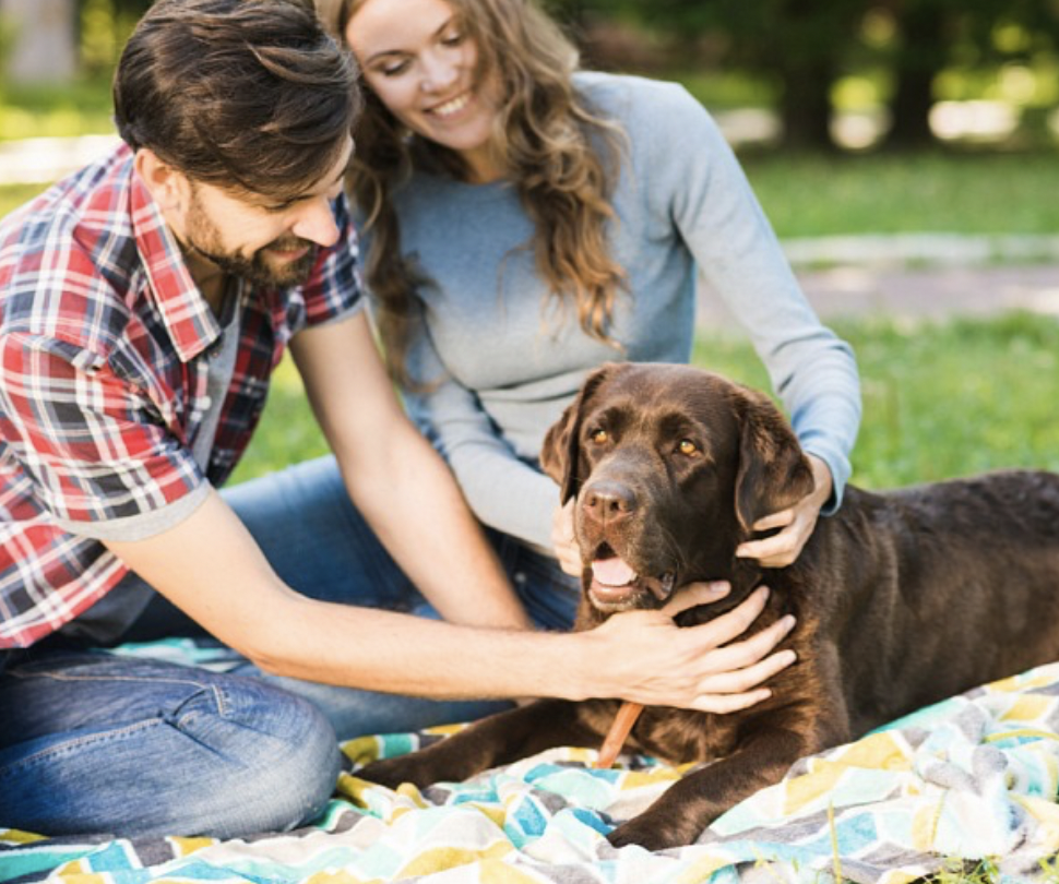 BLACK BALLS 500 g – Hundekugeln mit Biochar/Futterkohle