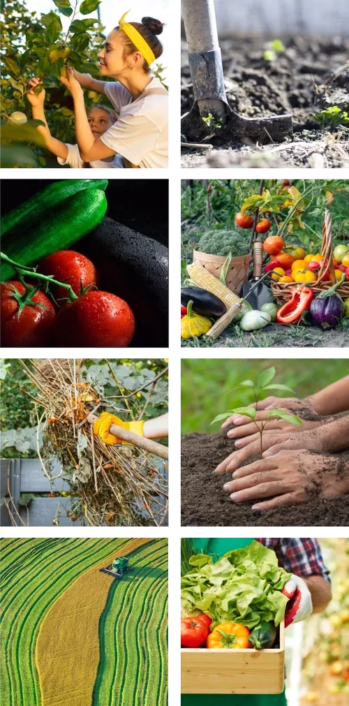 Biochar 60 l, Pflanzenkohle für den Boden