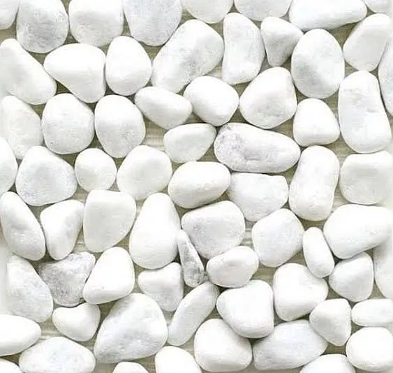 Kalzium mit Magnesium